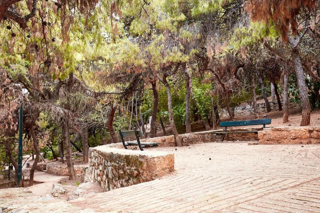 Apartamento Myth1 Hike Around Kalimarmaron, Panathinaic Stadium And Big Alsos Park Atenas Exterior foto