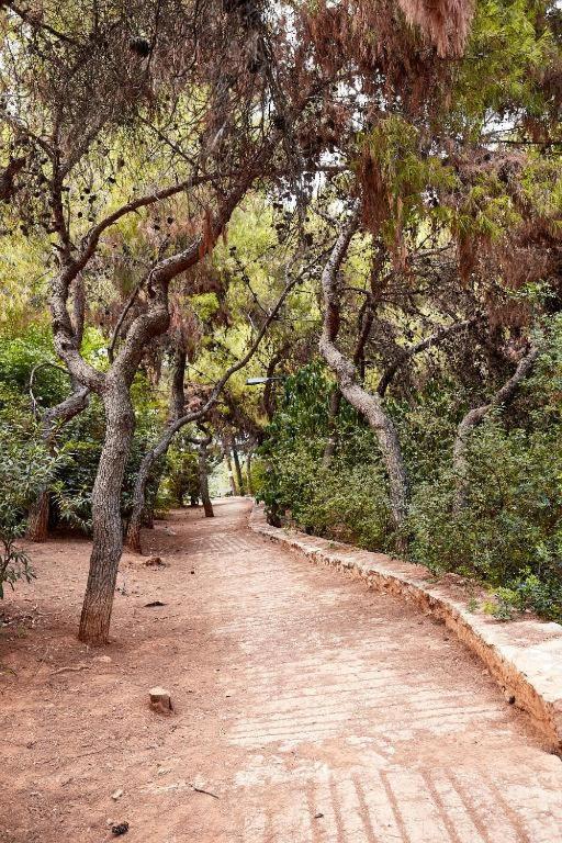 Apartamento Myth1 Hike Around Kalimarmaron, Panathinaic Stadium And Big Alsos Park Atenas Exterior foto